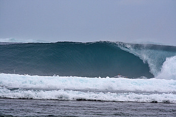 Surf Guide for 