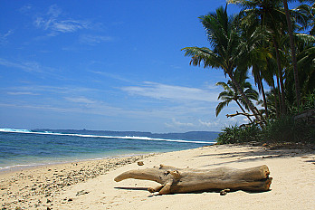 Surf Guide for 