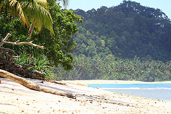Surf Guide for 